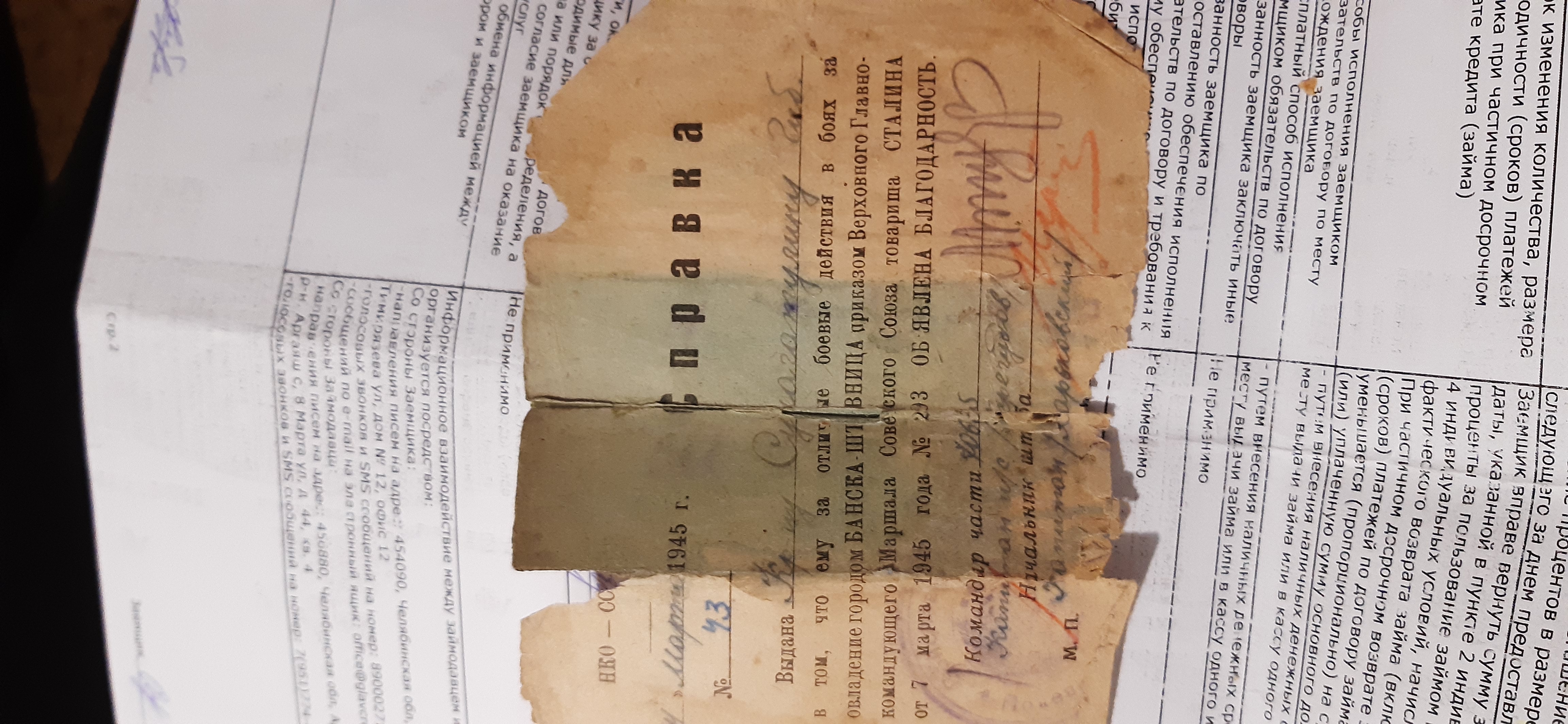 Здесь должна быть фотография