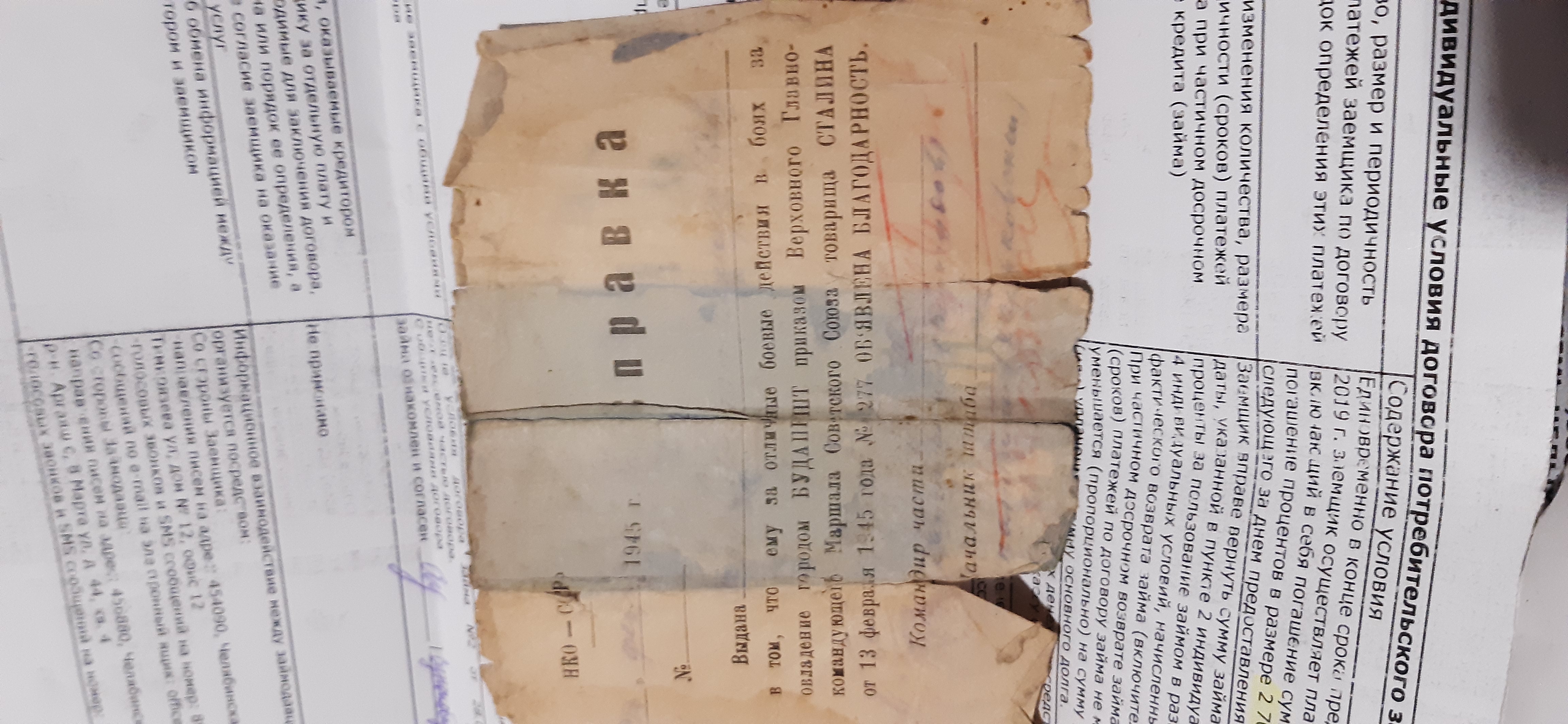 Здесь должна быть фотография