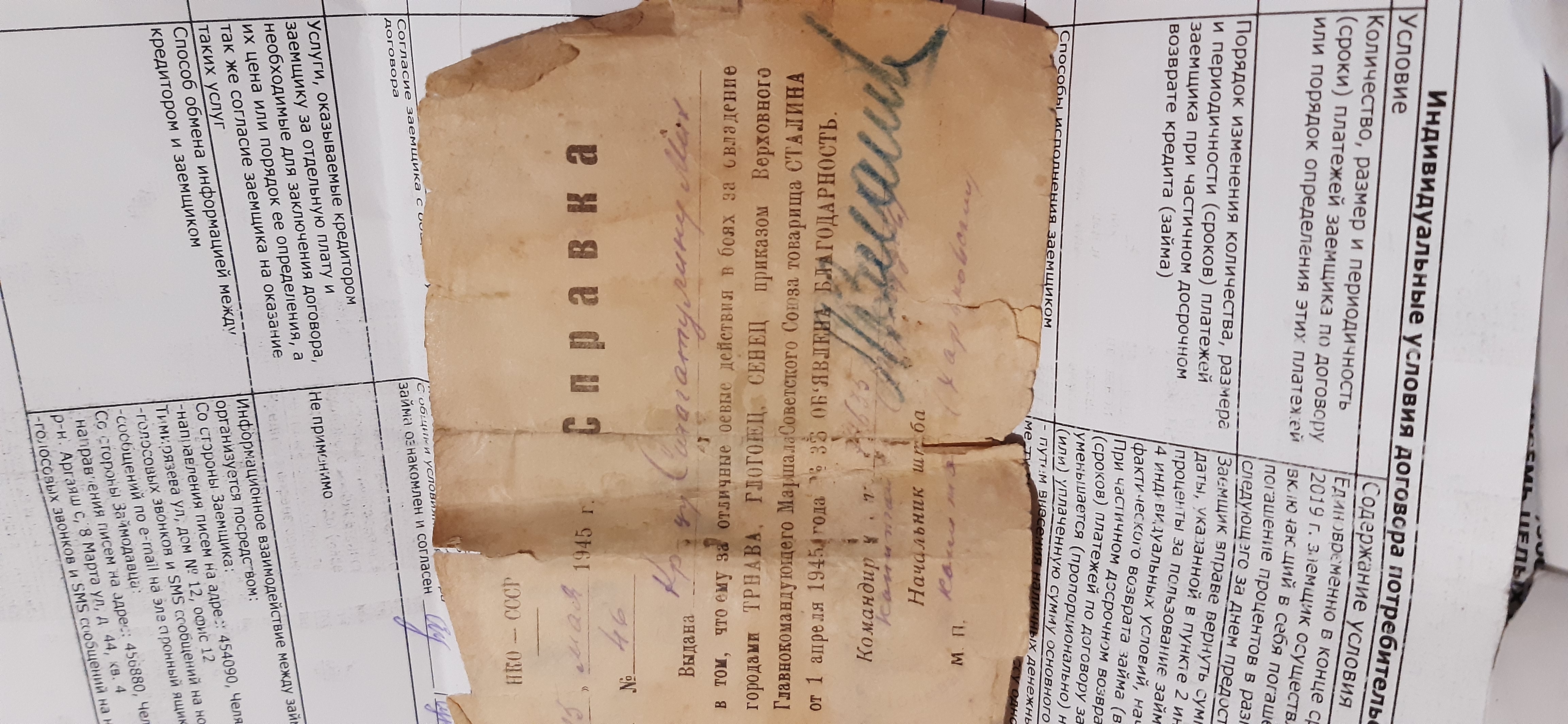 Здесь должна быть фотография