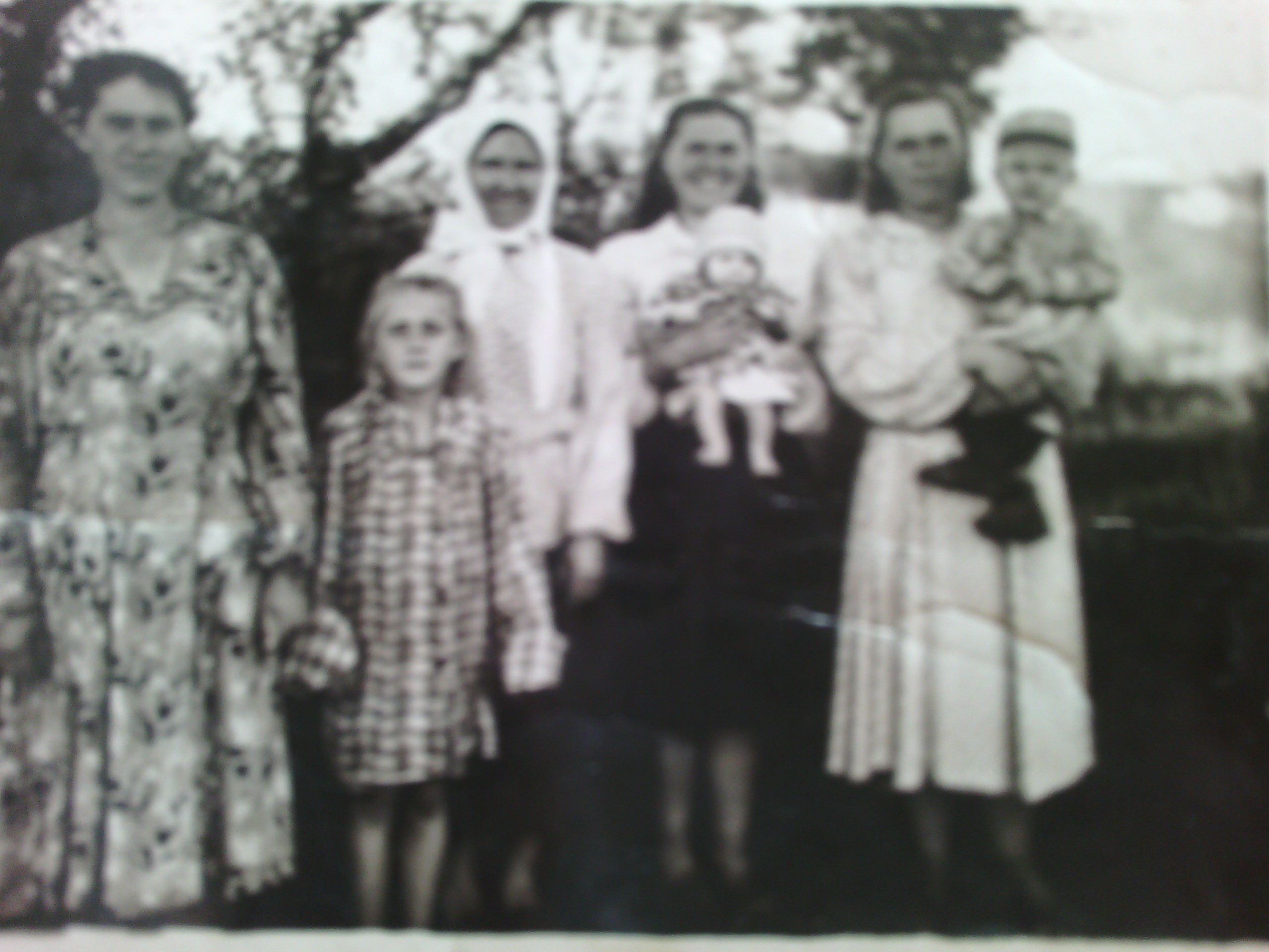 Здесь должна быть фотография