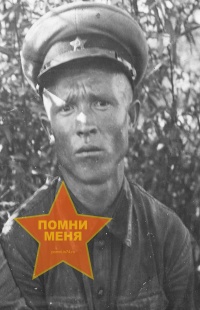 Алчебаев В.Ф.