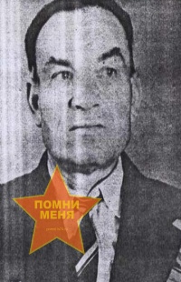 Дегтяренко Владимир Николаевич