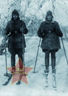 Летягин Дмитрий Яковлевич и Цветков