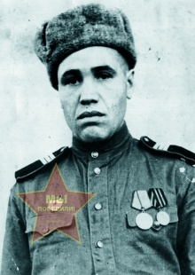 Ногин Николай Дмитриевич