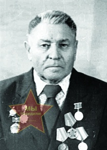 Васнёв Михаил Яковлевич