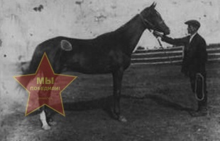 Рубцов Михаил Дмитриевич