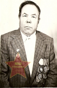 Ларин Николай Георгиевич