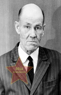 Никулин Федор Тимофеевич