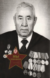 Метелев Николай Николаевич