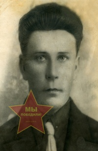 Боронин Александр Николаевич