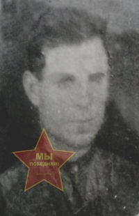 Цаплин Василий Иванович