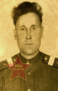Дмитриев Владимир Николаевич