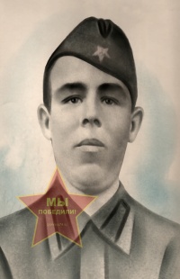 Петунин Василий Иванович