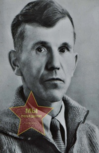 Постнов Владимир Александрович