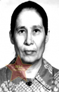 Насырова Фатима Абжигитовна