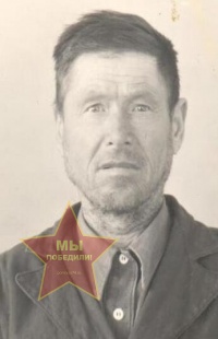 Шевелев Николай Дмитриевич